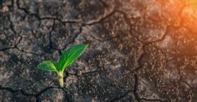 Coping with COVID-19 and Beyond – Leading through the A.R.C. of Change 