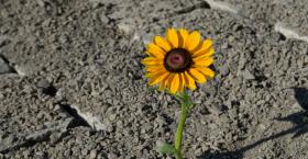 Build Your Culture to Weather the Storm