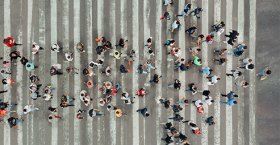 The Culture-Centric Organization: Set Culture as the Strategy to Drive Results 