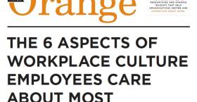 The 6 Aspects of Workplace Culture Employees Care About Most