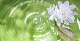 De-Stress Your Thinking