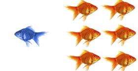 For Me, or Not For Me?