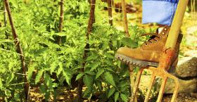 The Pitch for Change: Cultivating New Paradigms