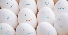 ‘All the Feels’ Enable All the Performance, Productivity at Work