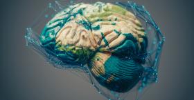 Social Intelligence Can’t Be Automated