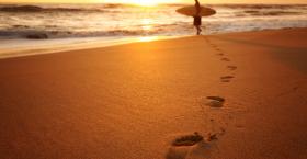 Get on Board with Carving out a Learning Culture at Your Organization