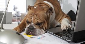 Stupid Manager Tricks