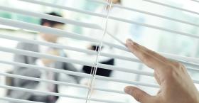 Partnership 101: More than an Observer