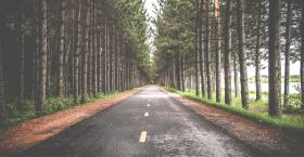 How to Take Succession Planning Beyond the C-Suite