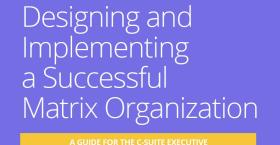 Designing and Implementing a Successful Matrix Organization