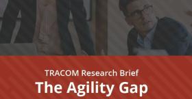 The Agility Gap