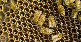 Make the Case for Internal Talent Mobility  