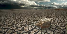 Addressing Tomorrow’s Leadership Shortage Today with Employee Recognition