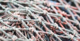 Mid-level Managers Without Onboarding Coaching Support Get Caught in the Middle - A Very Risky Place to Be