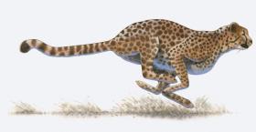 Accelerate Leadership Development